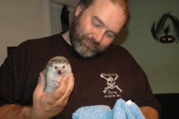 [Photo of Huff the Hedgepig]