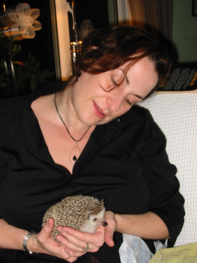 [Photo of Huff the Hedgepig]