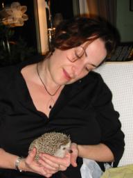 [Photo of Huff the Hedgepig]