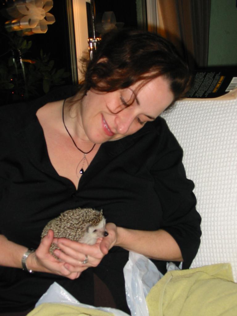 [Photo of Huff the Hedgepig]