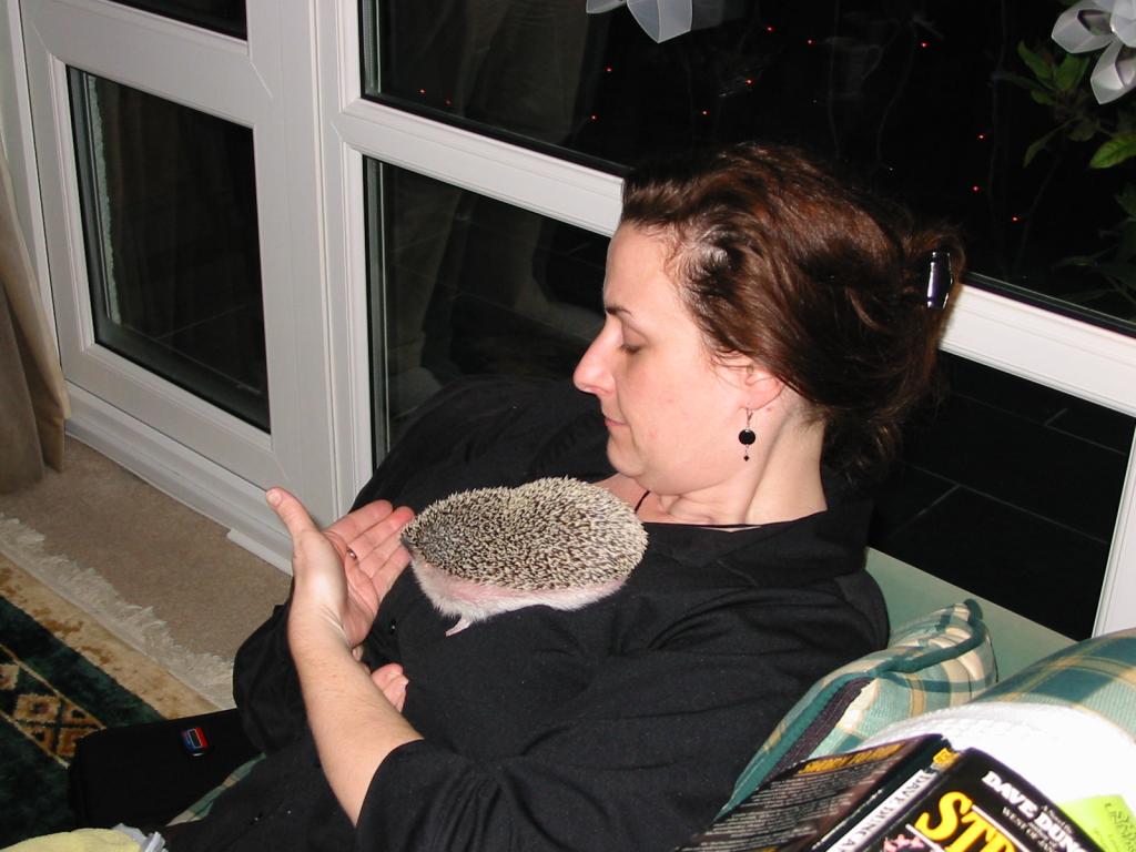[Photo of Huff the Hedgepig]