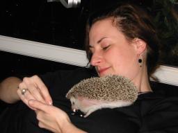 [Photo of Huff the Hedgepig]