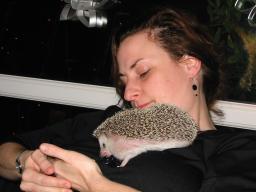 [Photo of Huff the Hedgepig]