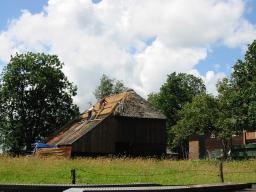 IMG_2831