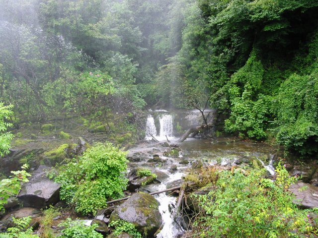 [Photo of the Glen Lyn Gorge]