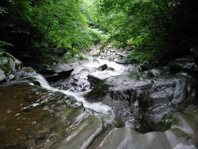 [Photo of the top of the Glen Lyn Gorge]