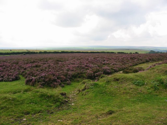 [Photo of Exmoor]