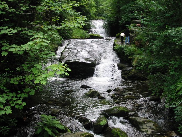 [Photo of a river]