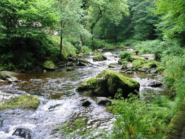 [Another photo of Photo of a river]